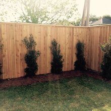 Landscape Ideas