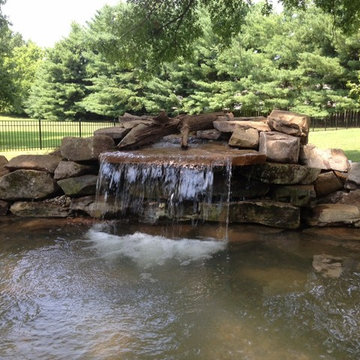 Pond Gallery