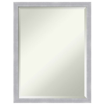 Grace Brushed Nickel Narrow Beveled Wall Mirror - 20 x 26 in.
