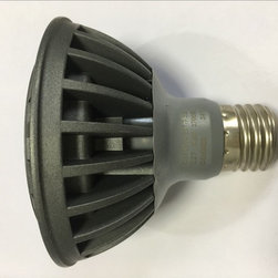 AR111 LED light - Products