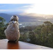 Pete Fragopoulos's photo