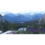 Laurie Johnson's photo