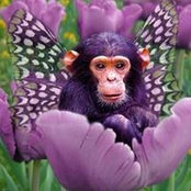 Foto von Allyson Tuttle