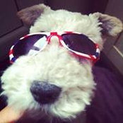Zoe Barrett's photo