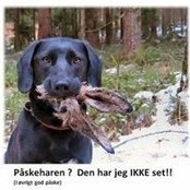 Tine Persson's photo