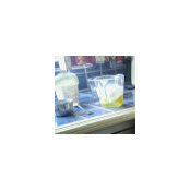 Illa Odedra's photo