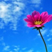 Manon Blondeau's photo