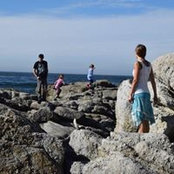 Lea N Wyatt Albright's photo