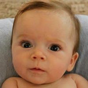 David Green's photo
