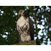 Mary Murphy's photo