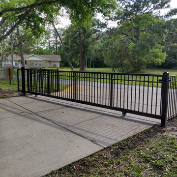 Ornamental in north New Port Richey
