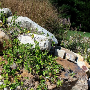 Pool house and native plants