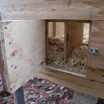 City Chicken Coop