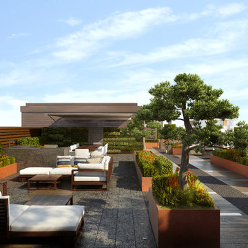 Rooftop Gardens