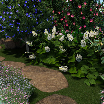 Pathway + Rock Feature