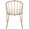 Marcia Modern Velvet Dining Chair With Stainless Steel Frame, Set of 2, Beige/Rose Gold
