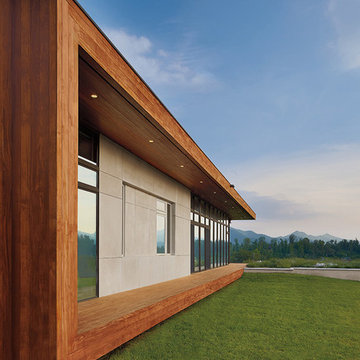 Modern Home