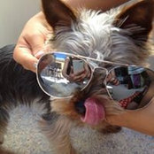 Verene Miola's photo