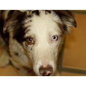 Lisa Fox's photo