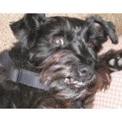 Anne Becker's photo
