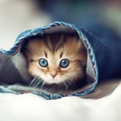 Leslee AhSing's photo
