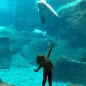 Heidi Stenvold's photo