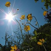 Bella Bellasol's photo