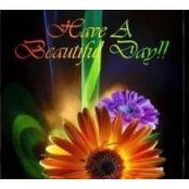 Pat Jeffries's photo