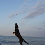 Foto von Monica Costas