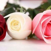 Tina Saad's photo