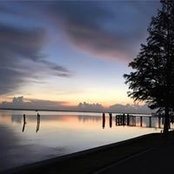 Regina Gilbert's photo