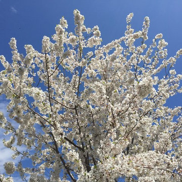 Keofferam Gardens, Old Greenwich, CT