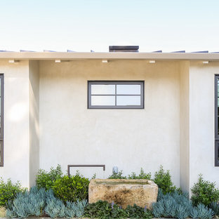 Exemple d'un jardin tendance.