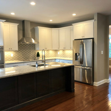 Reston Town Center Full Remodel