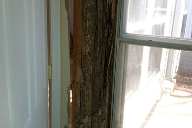 Severe Termite Damage
