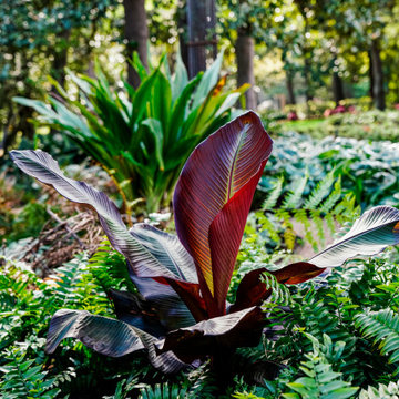 Rienzi Mansion - MFAH - Landscape Design & Installation