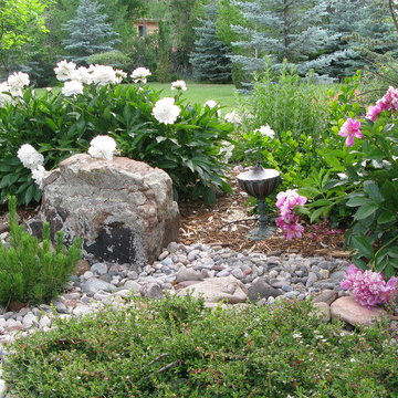 beagle residence