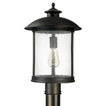 Capital Lighting - Capital Lighting 9565OB Dylan - 17" 1 Light Outdoor Post Mount - Shade Included: TRUE  Room: ExteriorDylan One Light Outdoor Post Lantern Old Bronze Antique Water Glass *UL Approved: YES *Energy Star Qualified: n/a  *ADA Certified: n/a  *Number of Lights: Lamp: 1-*Wattage:100w Medium Base bulb(s) *Bulb Included:No *Bulb Type:Medium Base *Finish Type:Old Bronze