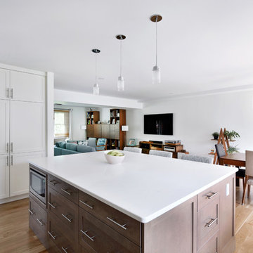 Fanshaw - Whole Home Renovation and Two-Story Addition