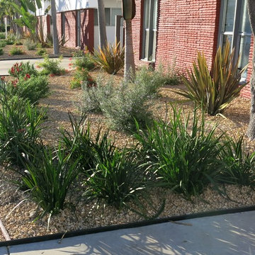 Water Wise Planting