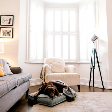 Pippa & Company Luxury Mattress Dog Beds