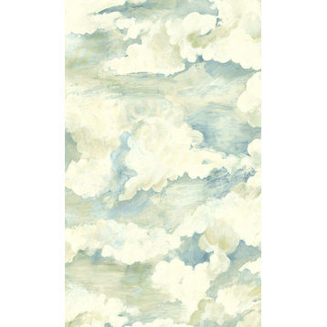 Cloud Filled Sky Plain Printed Textured Wallpaper  57 Sq. Ft., Aqua, Double Roll