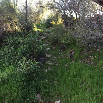 The Pond House 2017