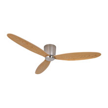 Ceiling  Fan