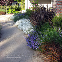 Outdoors - Plant Picks