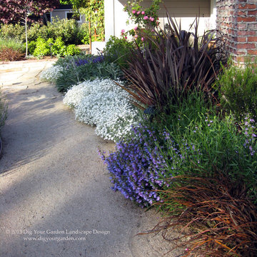 Mediterranean Garden in San Anselmo, CA