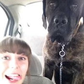 Sarah Maclellan's photo