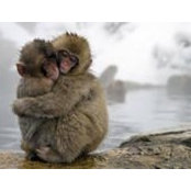 Rita Hough's photo