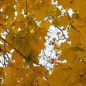 Eileen Hussey Hochberg's photo