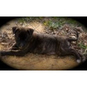 Sondra Henderson's photo